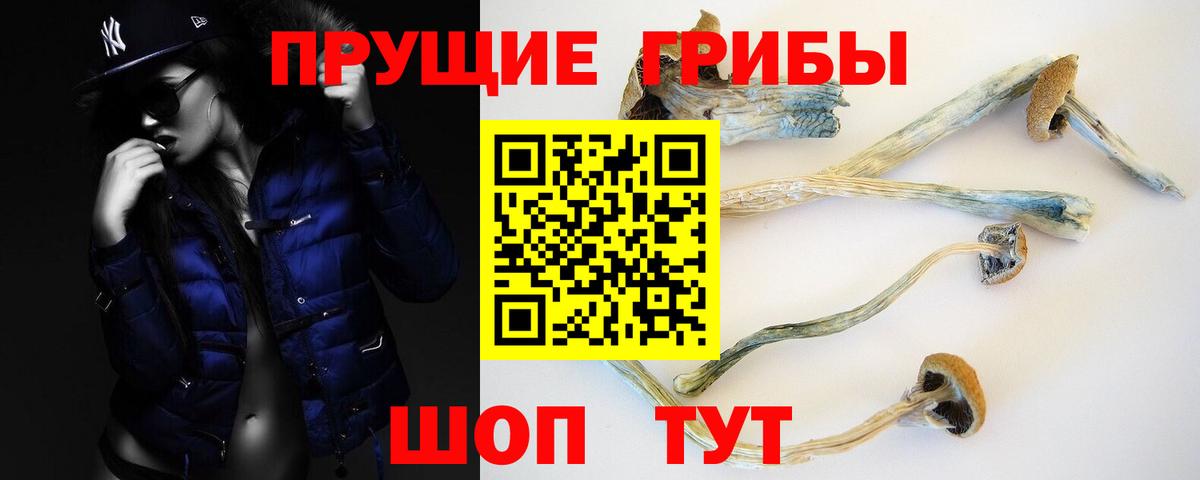 Бугуруслан  Псилоцибиновые грибы Psilocybine cubensis  продажа наркотиков  Вход с VPN 